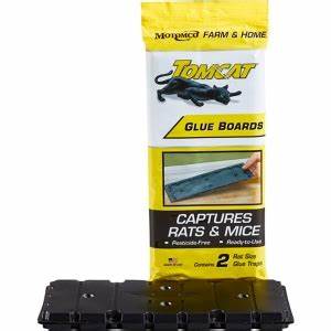 TOM CAT Rat Glue Board 2pk